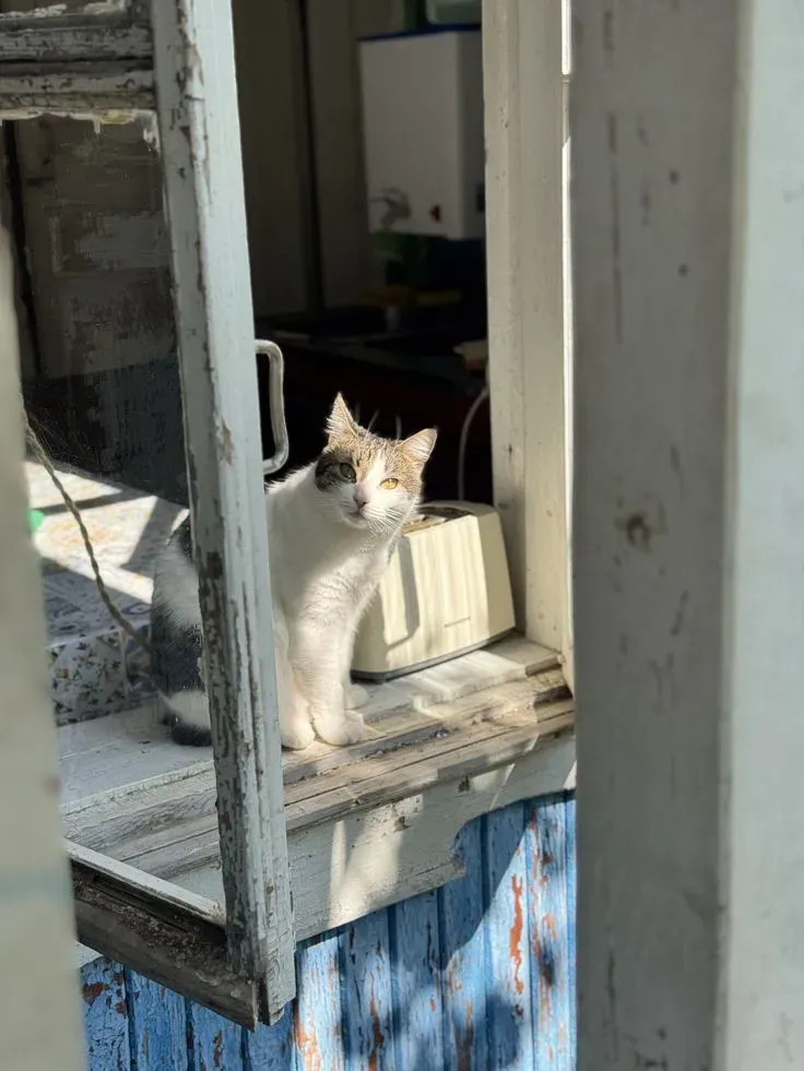 10 лучших станиц Краснодарского края для ПМЖ 10 лучших станиц Краснодарского края для ПМЖ